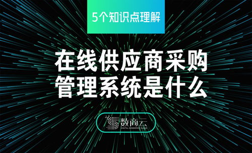 5个知识点理解在线b2b供应商采购管理系统是什么