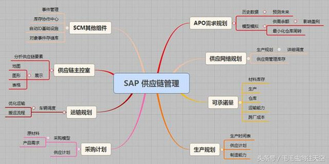 什么是供应链管理?SAP供应链管理业务情景概述